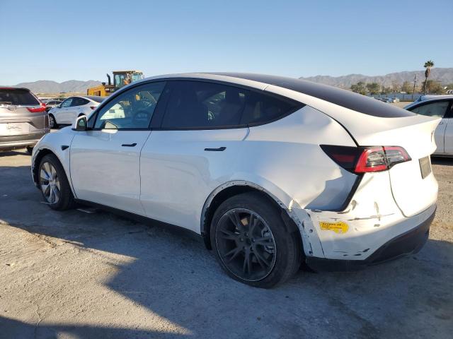 5YJYGAEE4MF265892 | 2021 TESLA MODEL Y