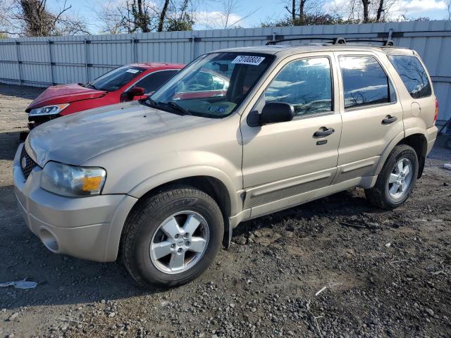 2007 Ford Escape XLT