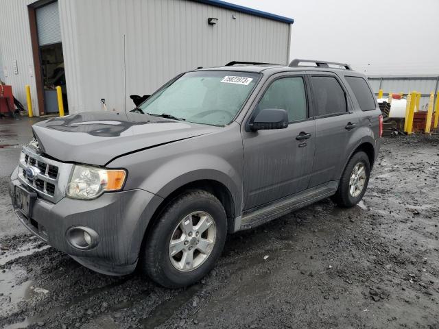 2009 Ford Escape XLT