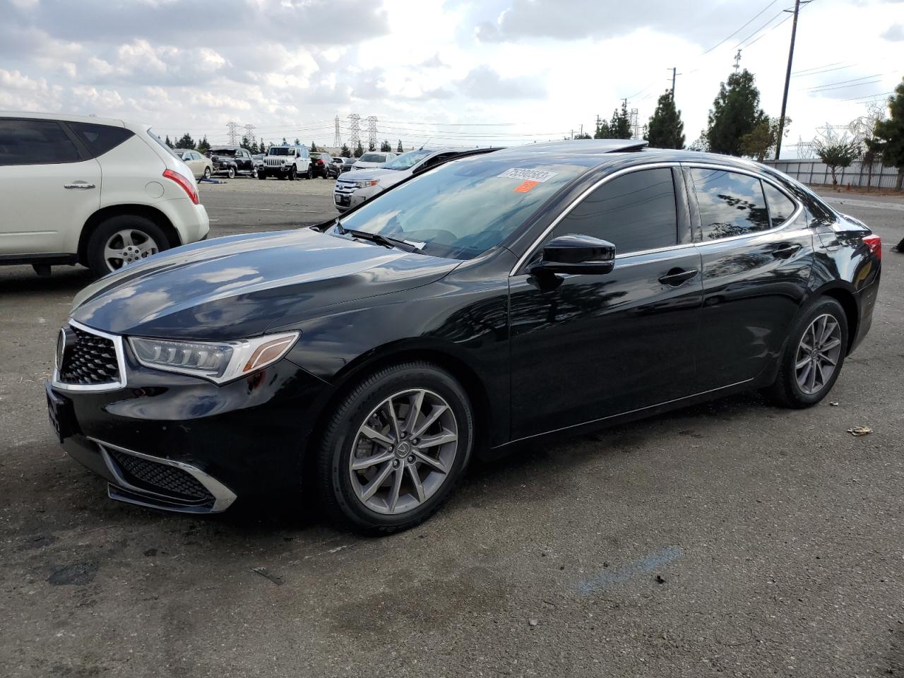 19UUB1F37KA000319 2019 Acura Tlx