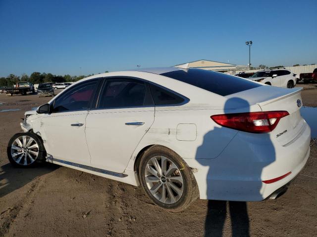 5NPE34AF8GH342882 | 2016 HYUNDAI SONATA SPO