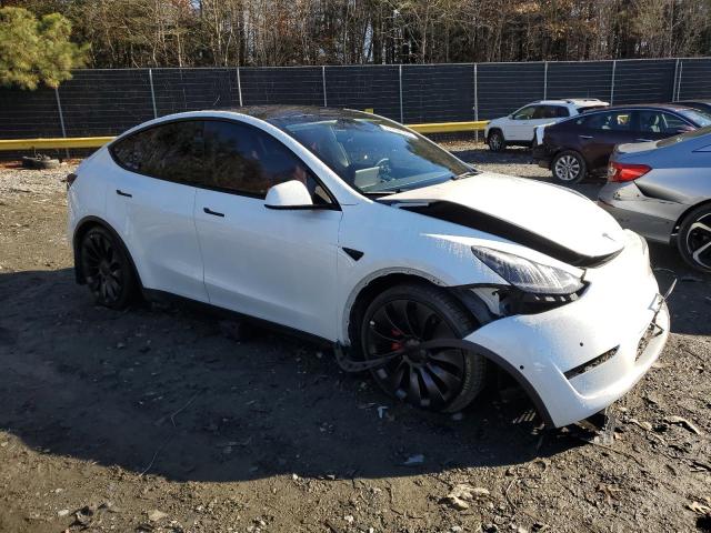 7SAYGDEF7NF359196 | 2022 Tesla model y