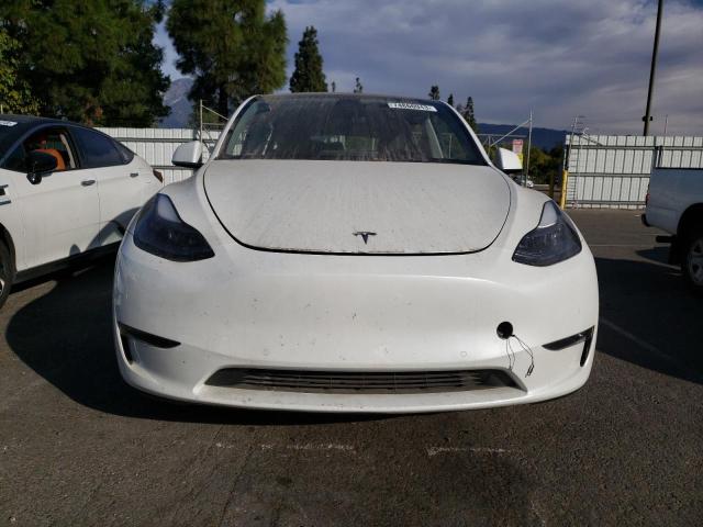 5YJYGDEF8MF194965 | 2021 TESLA MODEL Y