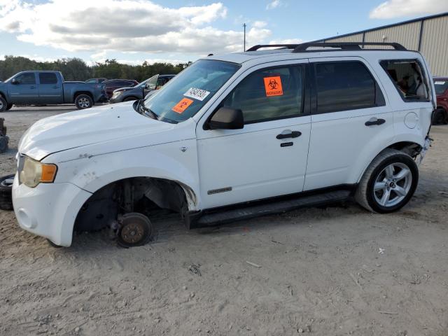 2008 Ford Escape XLT