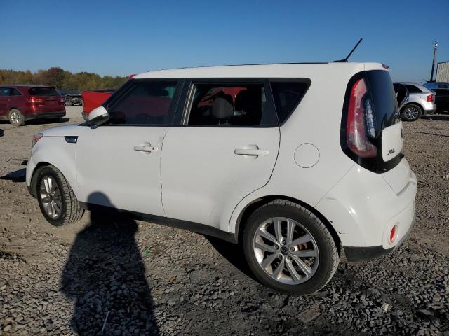 KNDJP3A59K7921803 | 2019 KIA soul +