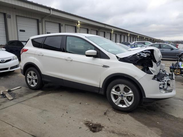 1FMCU0G96EUE24011 | 2014 FORD ESCAPE SE