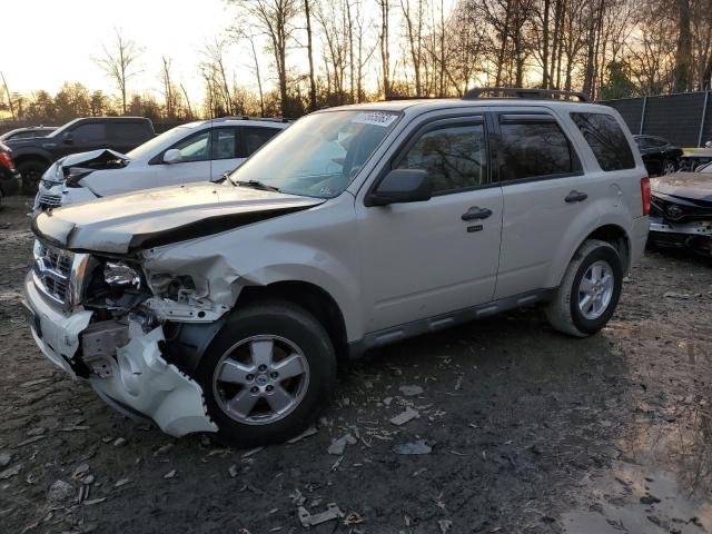 2009 Ford Escape XLT