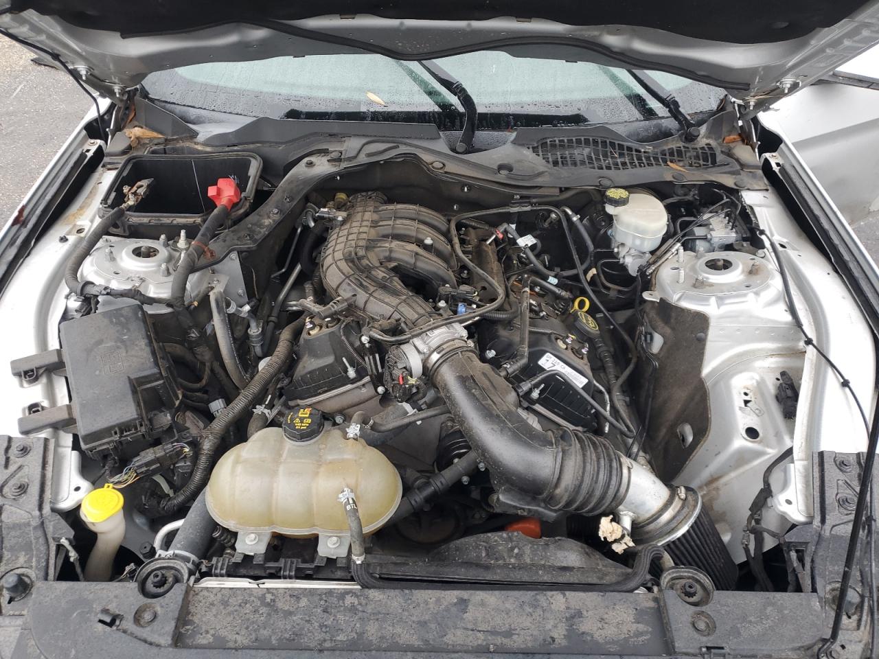 1FA6P8AM1H5308854 FORD ALL Models 2017