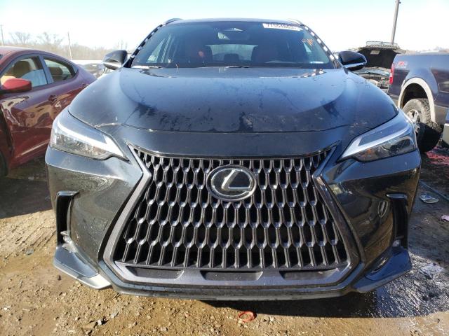 2023 LEXUS NX 250 2T2ADCEZ8PC002897