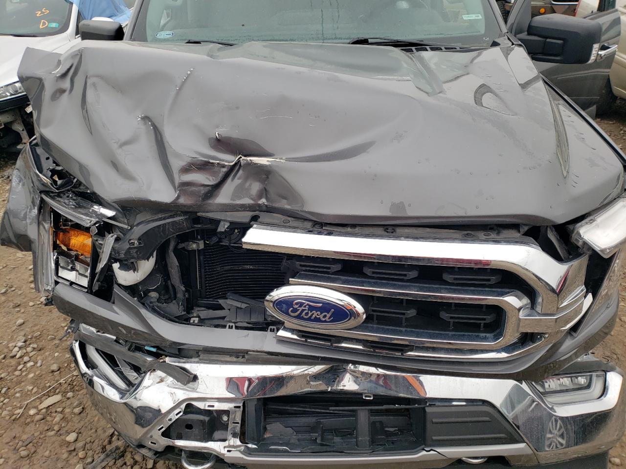 1FTFW1E81MKD41284 FORD F-150 2021