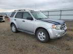 Lot #2214690897 2009 FORD ESCAPE XLT