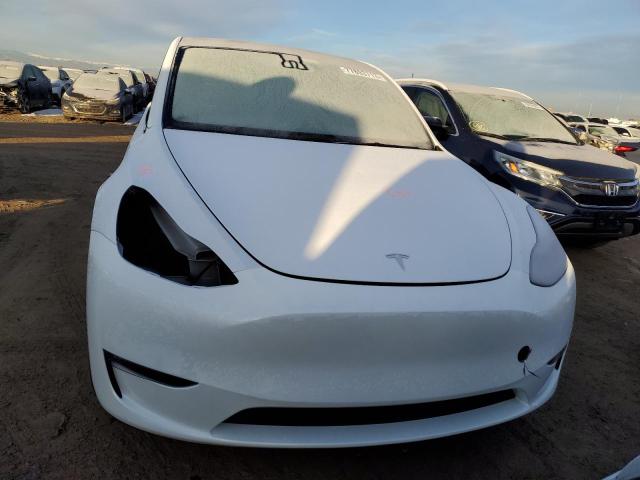 7SAYGDEEXPF666128 | 2023 TESLA MODEL Y