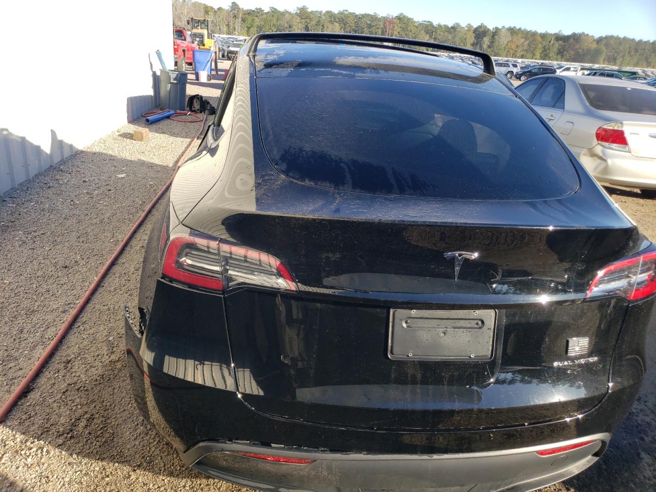2023 Tesla Model Y vin: 7SAYGDEE0PA059636