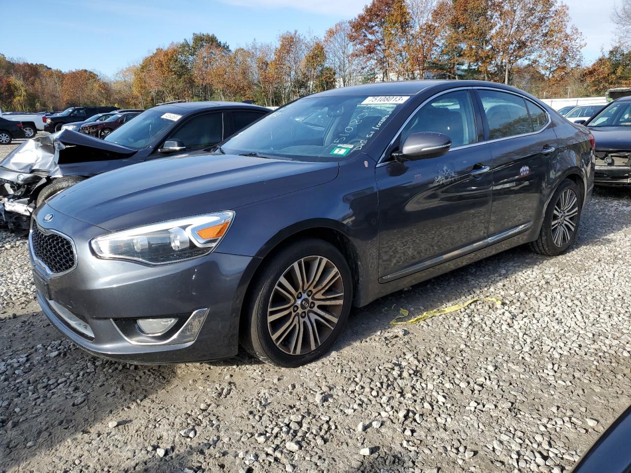 KNALN4D72E5151118 2014 Kia Cadenza Premium