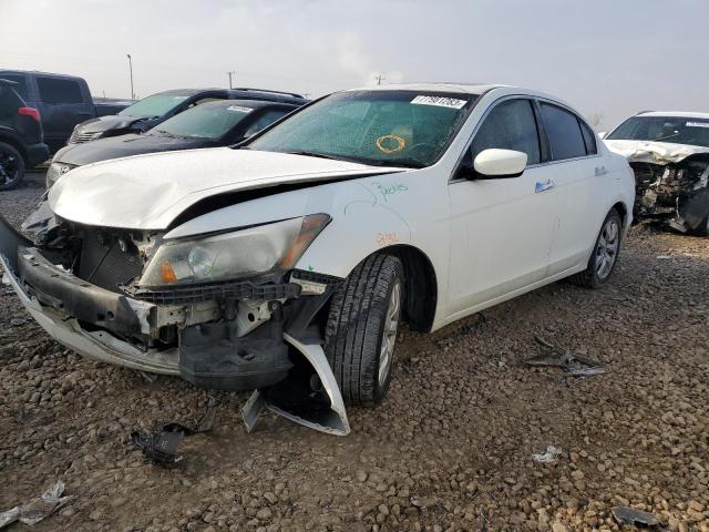 2010 Honda Accord Coupe EX-L