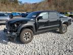 2023 TOYOTA TACOMA DOU - 3TMCZ5AN9PM593097