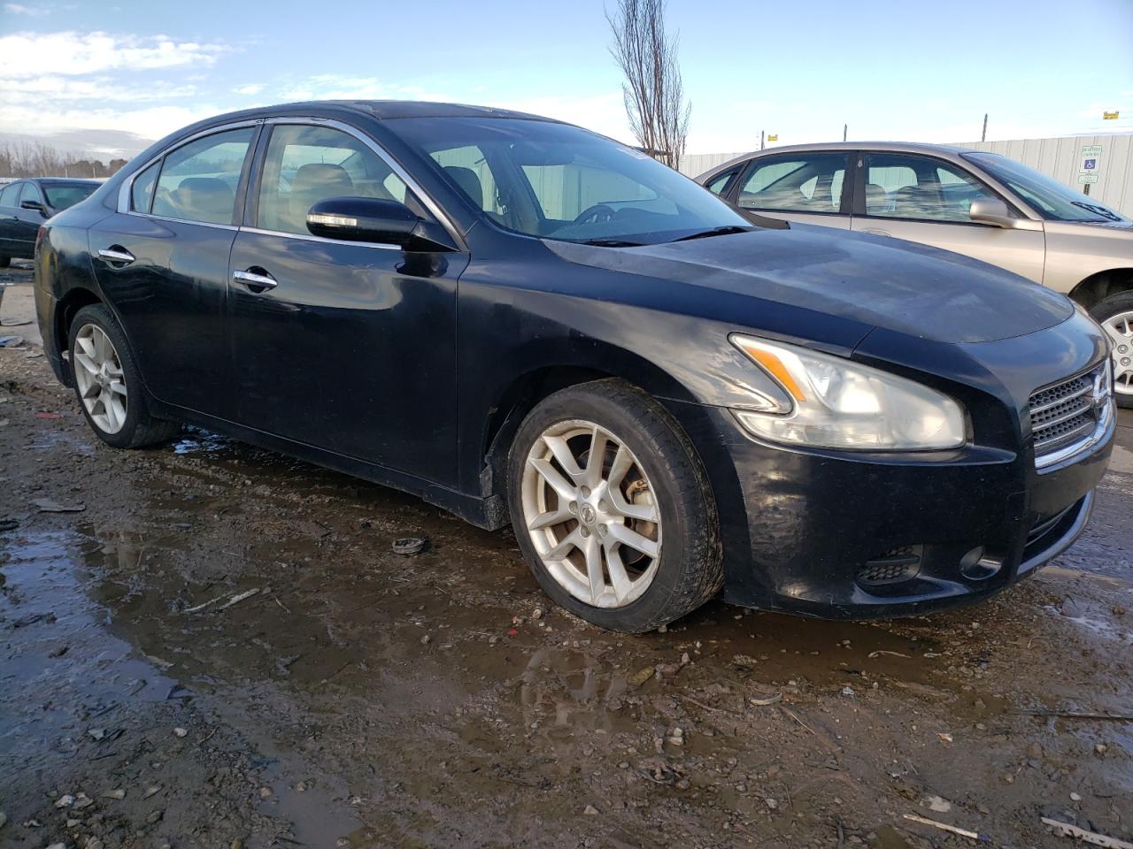 1N4AA5AP4AC822266 2010 Nissan Maxima S