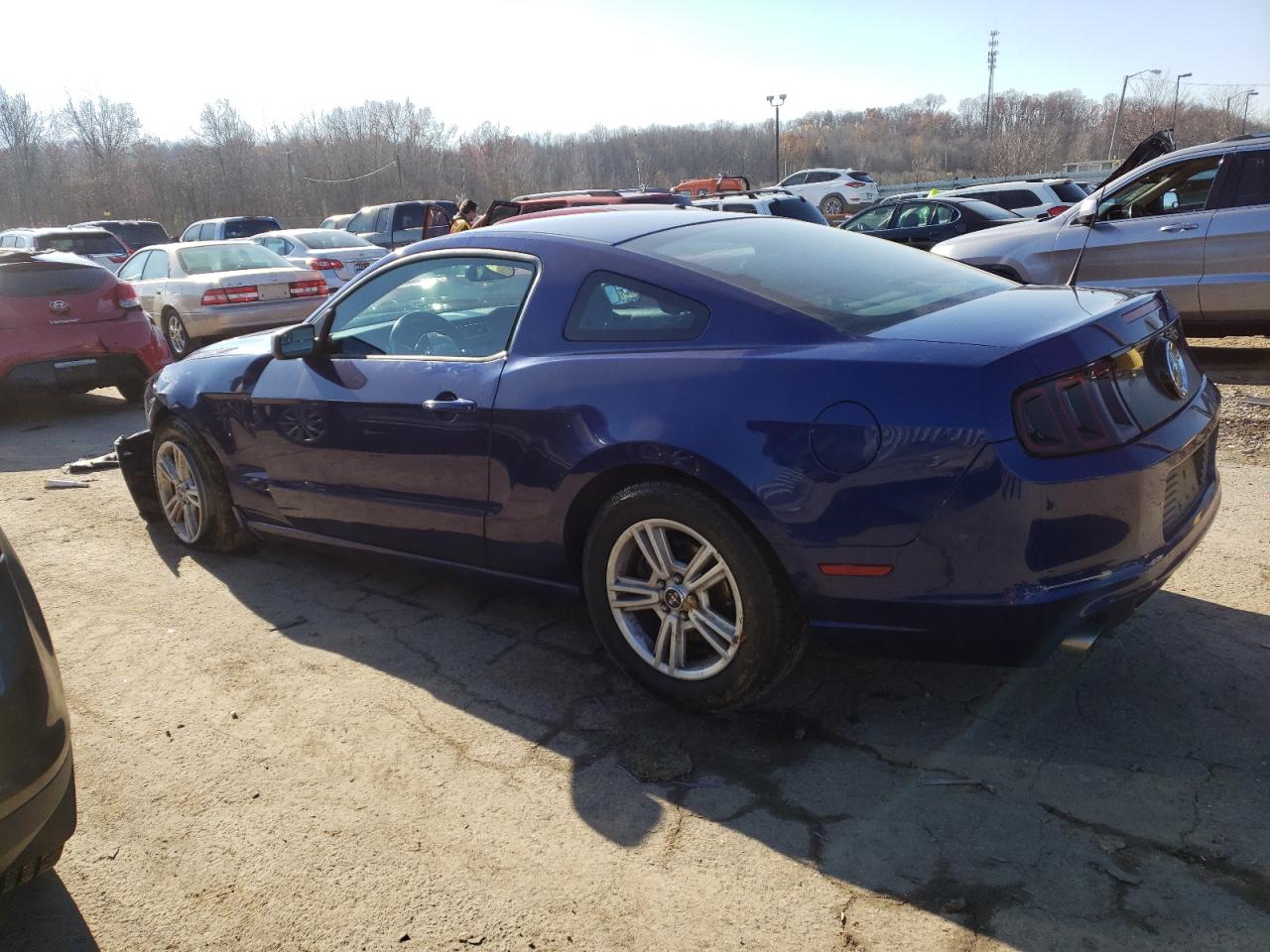 2014 Ford Mustang vin: 1ZVBP8AM5E5290098