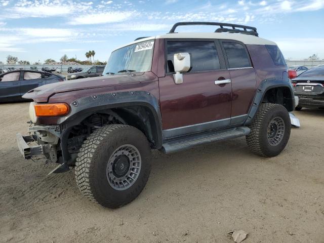 2007 Toyota FJ Cruiser 