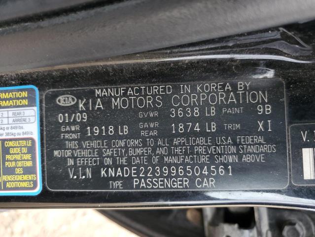 KNADE223996504561 2009 Kia Rio Base
