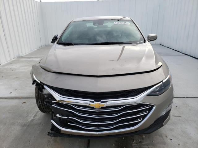  CHEVROLET MALIBU 2023 Колір засмаги
