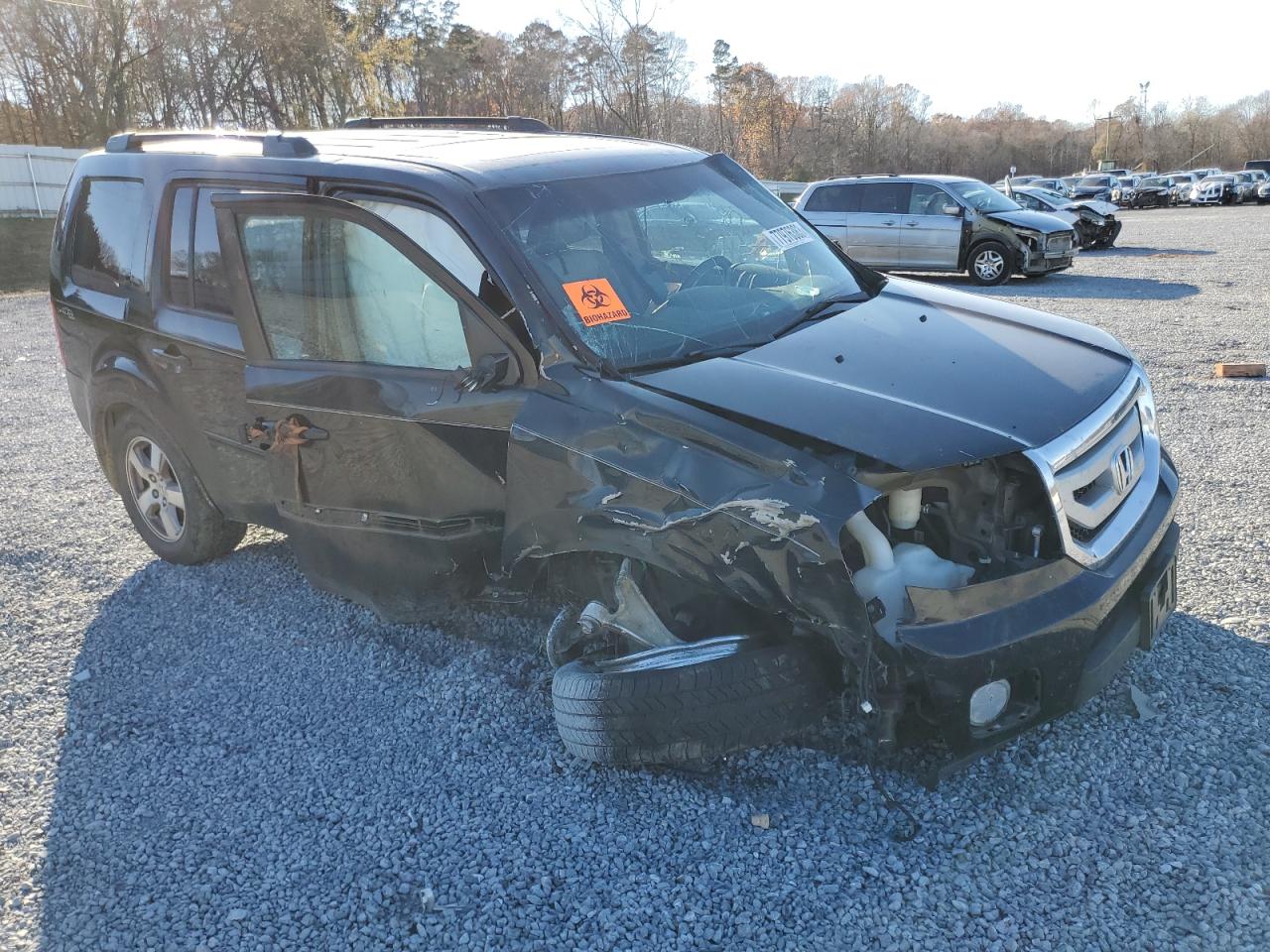 5FNYF48529B045965 2009 Honda Pilot Exl