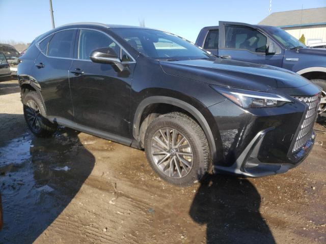 2023 LEXUS NX 250 2T2ADCEZ8PC002897