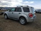 Lot #2214690897 2009 FORD ESCAPE XLT