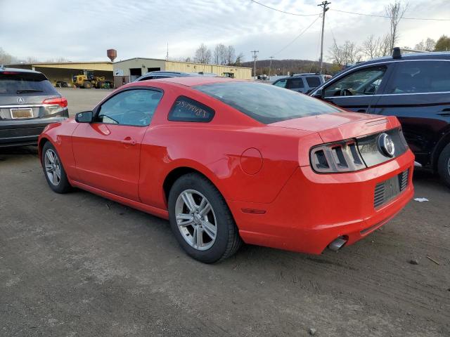 1ZVBP8AM8E5316242 | 2014 FORD MUSTANG