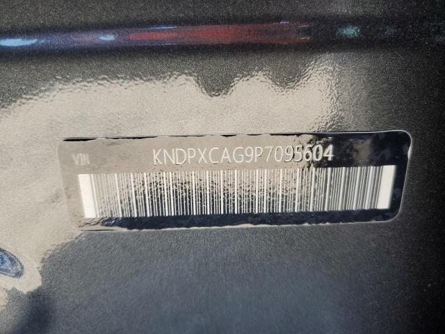 KNDPXCAG9P7095604 | 2023 KIA SPORTAGE S