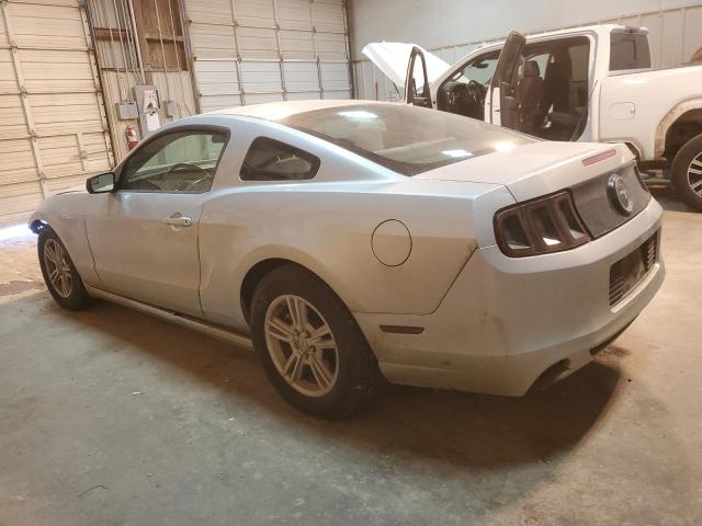 1ZVBP8AM6E5233571 | 2014 FORD MUSTANG