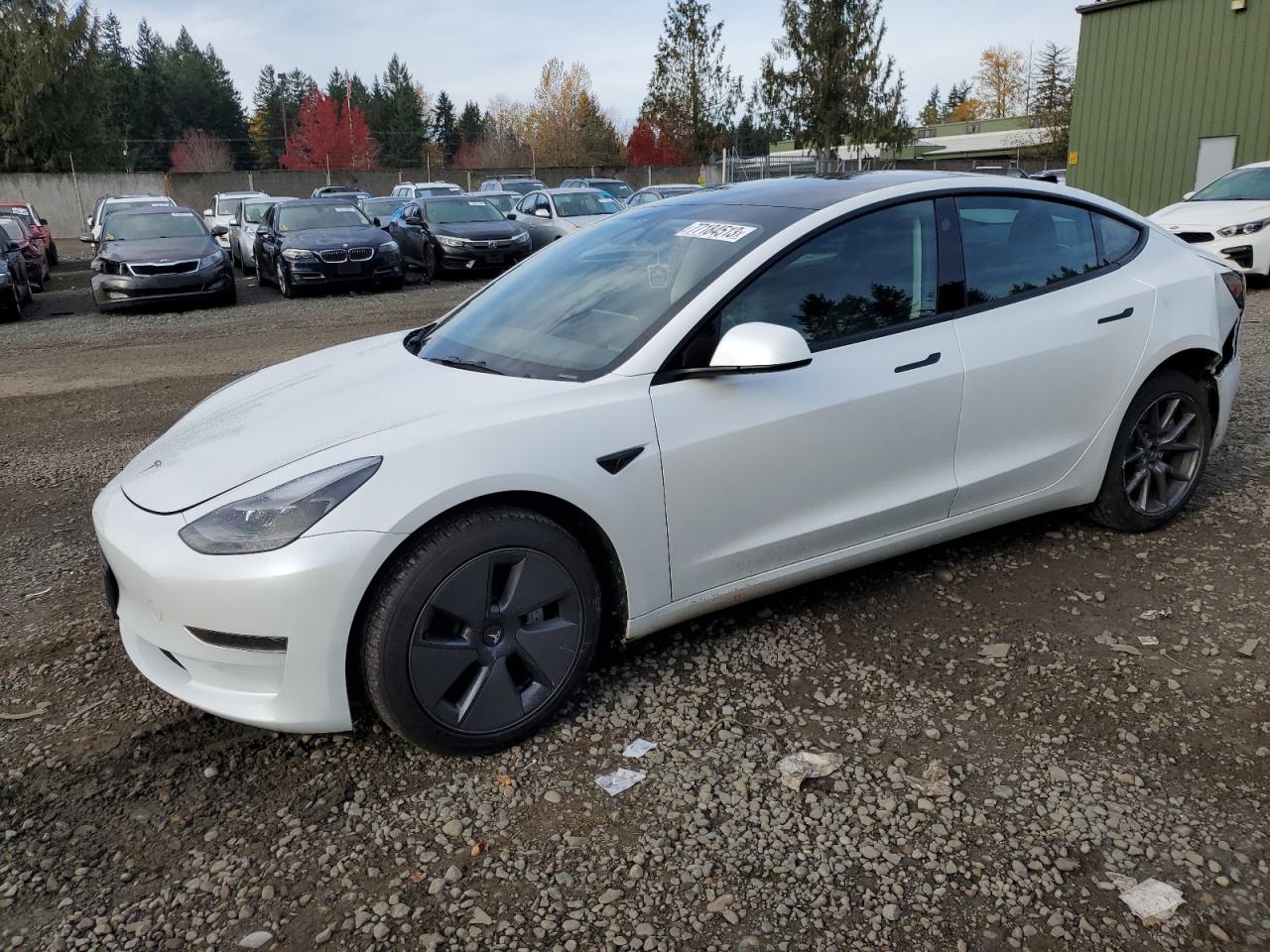 2023 Tesla Model 3 at WA Graham, Copart lot 77184513 CarsFromWest