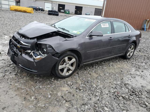 2010 Chevrolet Malibu 