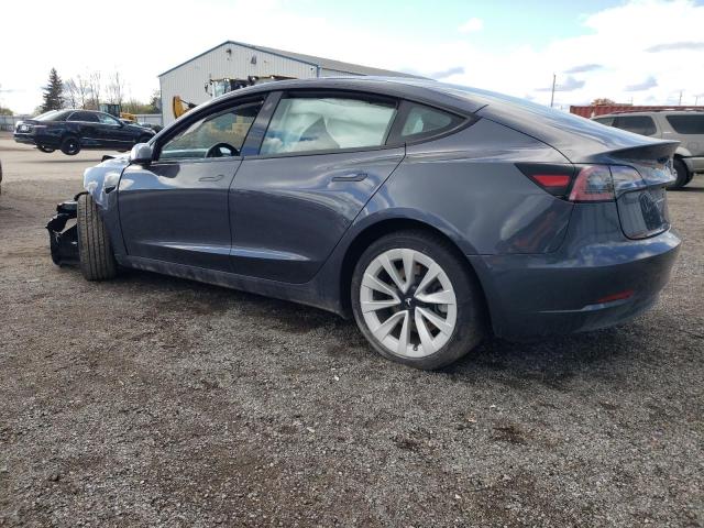 5YJ3E1EAXPF429048 | 2023 TESLA MODEL 3