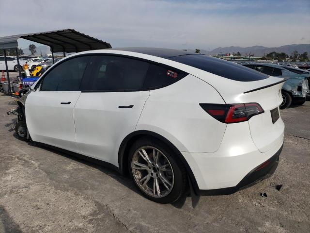 5YJYGDEE6LF019619 | 2020 TESLA MODEL Y