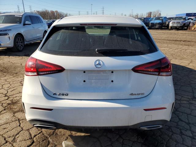 2019 MERCEDES-BENZ A 250 4MAT - WDD3F4HB0KJ091962
