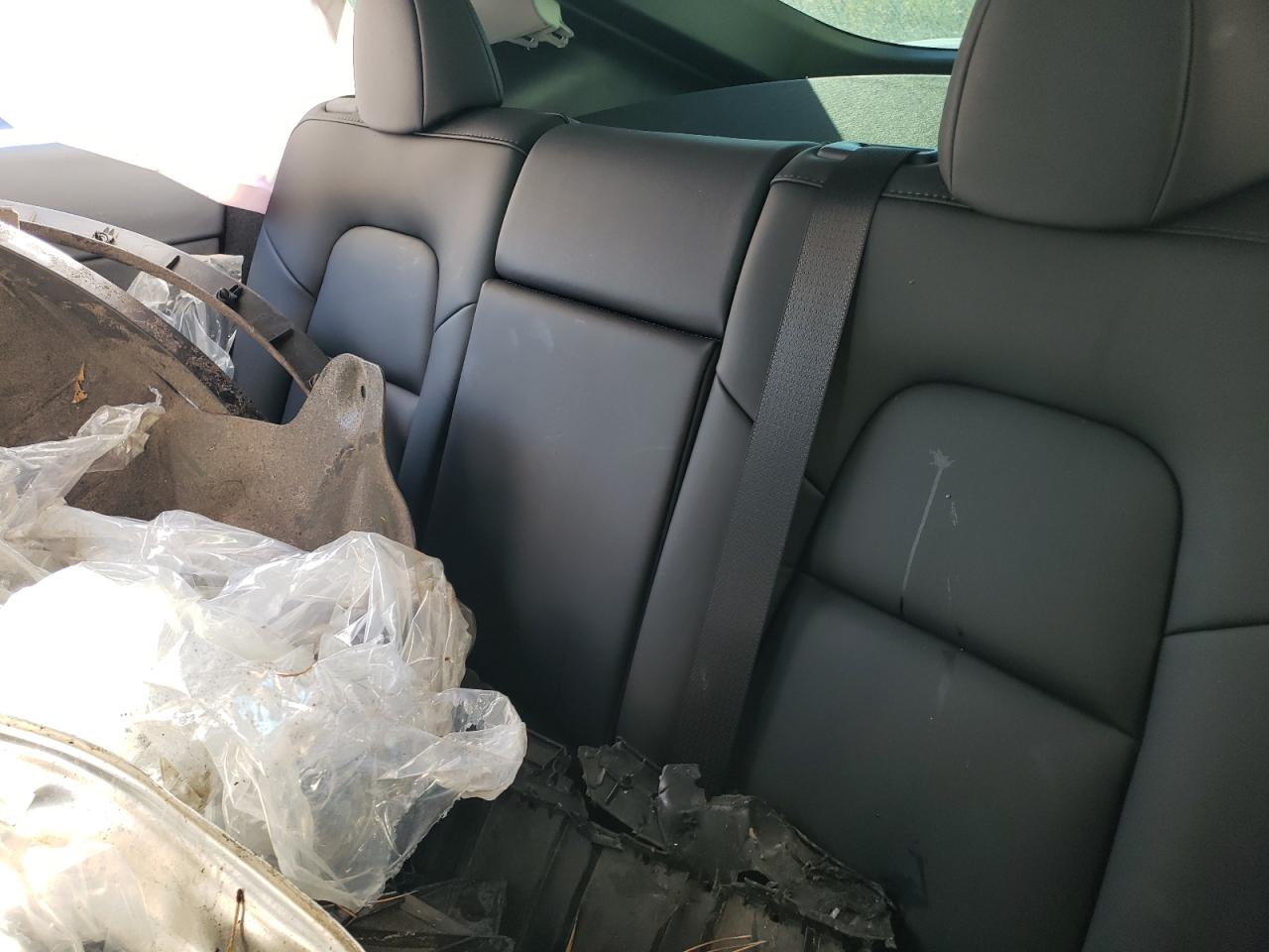 2023 Tesla Model Y vin: 7SAYGDEE0PA059636