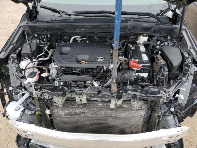 2024 LEXUS NX 250 BAS 2T2ADCAZ2RC006890