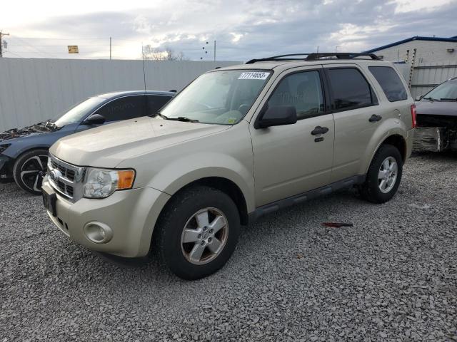 2010 Ford Escape XLT