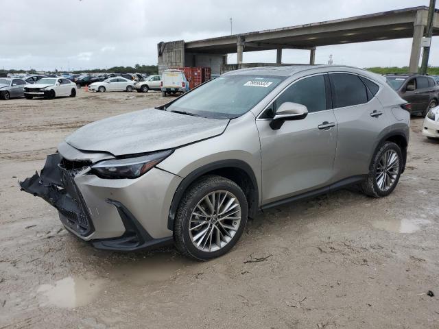 2022 Lexus NX 