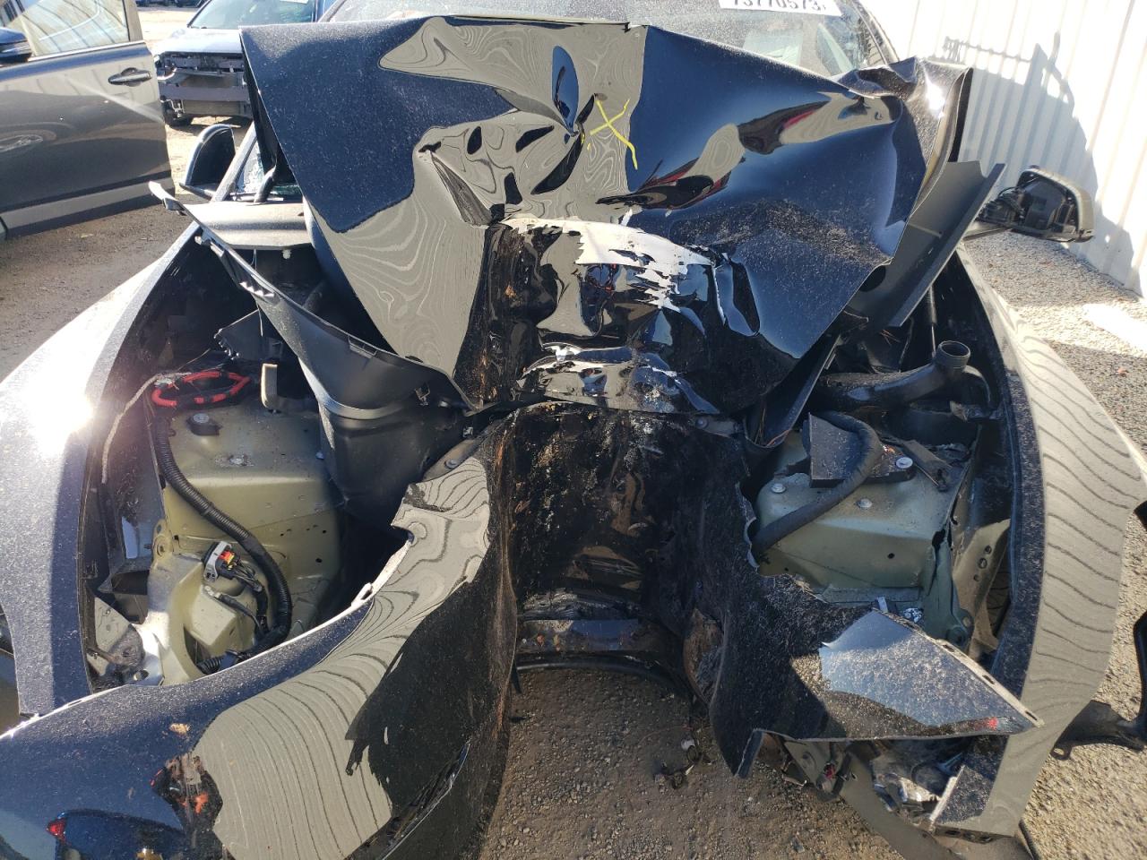 2023 Tesla Model Y vin: 7SAYGDEE0PA059636