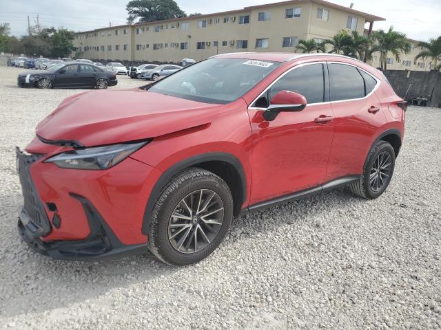 2024 Lexus NX 