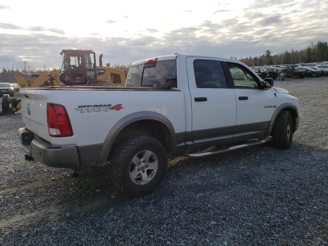 Vin: 1d7rv1ctxas169605, lot: 76145953, dodge all models 20103