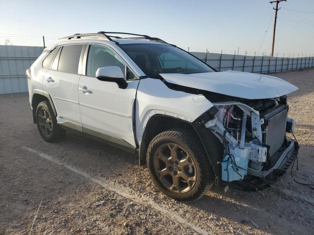 2023 TOYOTA RAV4 WOODL - 2T3UWRFV6PW171865