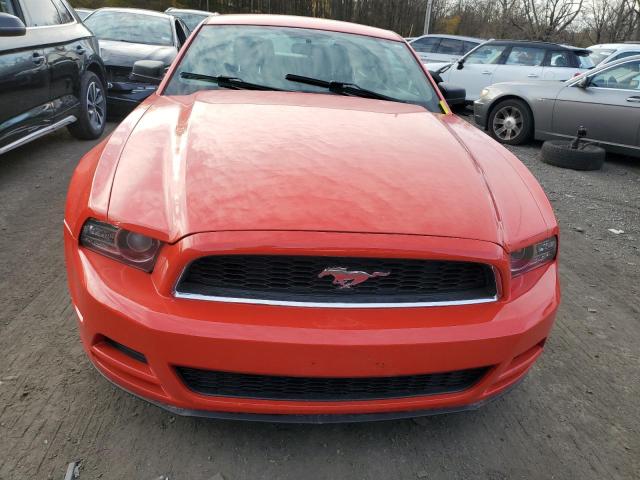 1ZVBP8AM8E5316242 | 2014 FORD MUSTANG