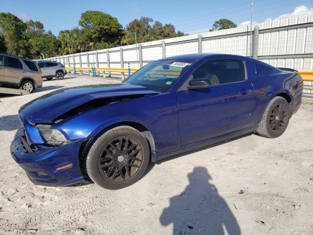 1ZVBP8AM1E5325347 | 2014 FORD MUSTANG