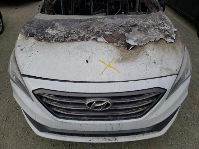 2015 HYUNDAI SONATA SPO - 5NPE34AF6FH047598