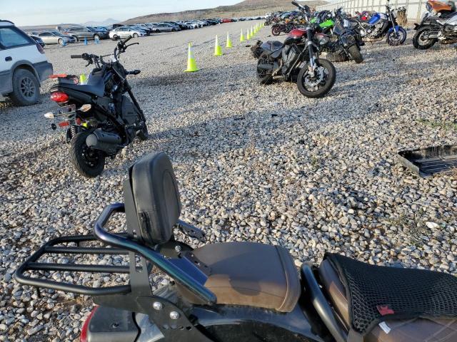2020 HONDA CMX500 MLHPC5600L5300703