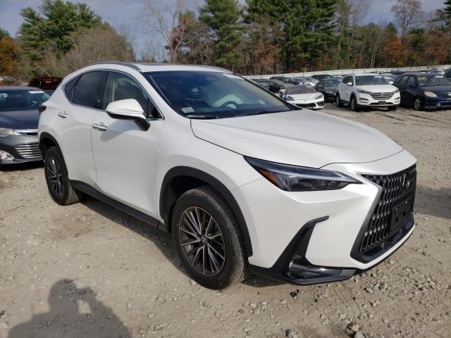 2024 LEXUS NX 350 PRE - 2T2GGCEZ3RC045340