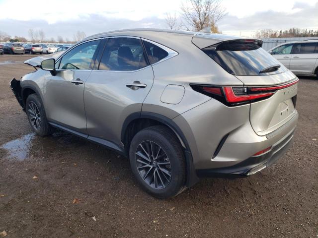 2022 LEXUS NX 250 2T2ADCEZ0NC001885